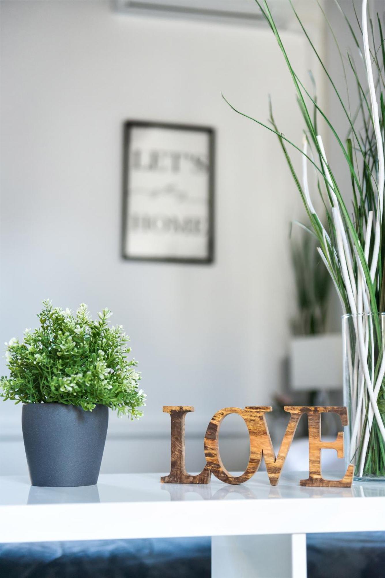 Cozy Studio Campo De Fiori روما المظهر الخارجي الصورة