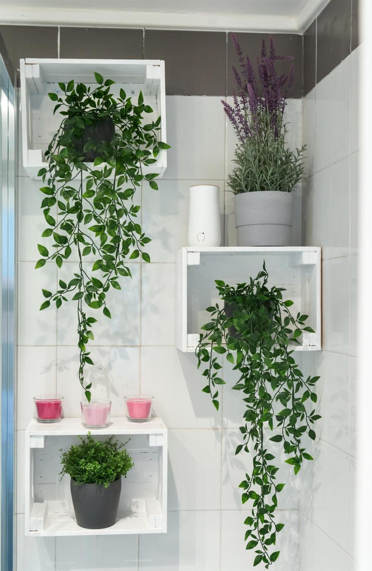 Cozy Studio Campo De Fiori روما المظهر الخارجي الصورة